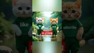 duo kucing lucu#shorts #fyp#animals