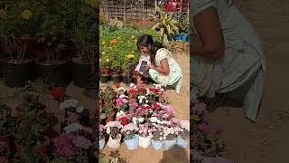 Itne saare sundar phool! Kaunsa lu? 🤔🌷#trending #love #song
