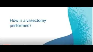 Dr. Marc Greenstein discusses Vasectomy