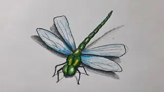 How to Draw Dragonfly Easy || Dragonfly Drawing Step by Step || Dragonfly Drawing