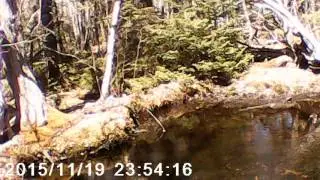 Hiking the Rail Trail Yarmouth n.s.