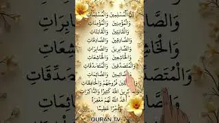 Surah Al-Muslimin ( سورة ان المسلمين ) Beautiful Surah [ The Holy Quran ] #egzonibrahimi #shorts