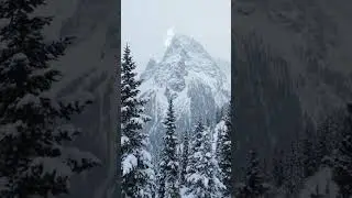 snow #snow #relaxing #nature