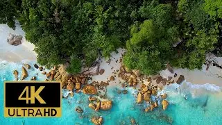 4K UHD Beach Ambiance | Overhead View of Carribean Tropical Island 🌴