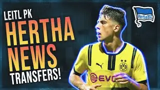 DRITTER Sommerneuzugang? Frank Roggow Ger&uuml;cht! Stefan Leitl PK! 😦 Hertha News