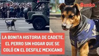 La bonita historia de Cadete, el perro sin hogar que se col&oacute; en el desfile mexicano