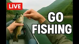LIVE Lure Fishing from an inflatable boat on a beautiful dam lake!
