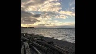 East of the River - Wilderness Is Their Home Now