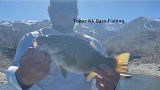 Topaz Lake NV Fishing