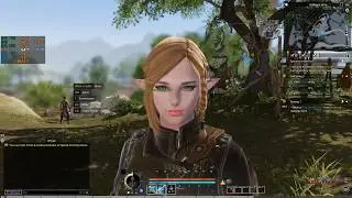 Bless Online NA (Steam) Test fps AMD FX8350/GTX970