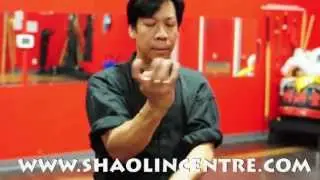Shaolin Tiger Kung Fu Centre - Kung Fu Classes