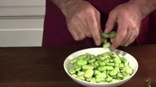 [Gourmet V&eacute;g&eacute;tarien] Comment Pr&eacute;parer des F&egrave;ves Fra&icirc;ches