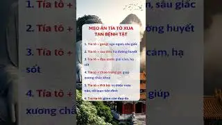Năng Lượng Thiền Định: C&aacute;ch đ&aacute;nh thức sức mạnh nội tại v&agrave; c&acirc;n bằng cuộc sống hiệu quả