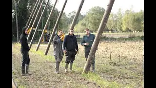 Hopveld Affligem