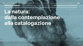 La natura dalla contemplazione alla catalogazione