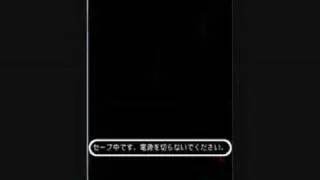 NDS emu games