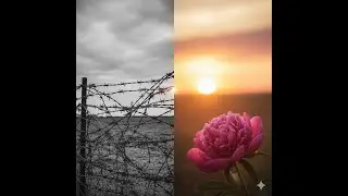 Man's Search for Meaning - How to Find Meaning in Suffering by Viktor Frankl