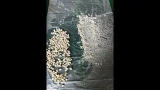 vibrating screen used for Freeze-dried chicken cube separating