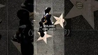 The Hollywood Walk of Fame Fun Facts #interestingfacts