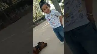 Rottweiler with baby girl #dog #pets #rottweiler #animals #shorts