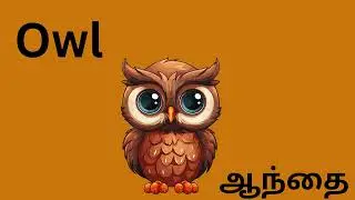 Wild birds Name in English for kids