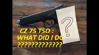 CZ 75 Tactical Sport Orange : What Did I Just Do???