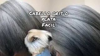 Cabello gris oscuro hombre