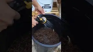 C&oacute;mo hacer COMPOSTA en casa/paso a paso🌱🤎
