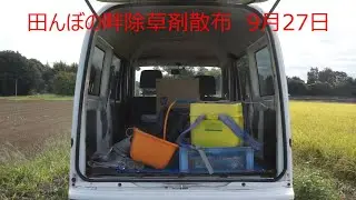 Spraying herbicides on the edges of rice fields on September 27th
