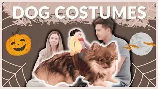 BEST AMAZON HALLOWEEN COSTUMES for Dogs 🎃👻