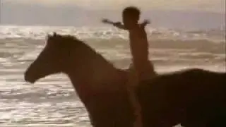 The Black Stallion 02