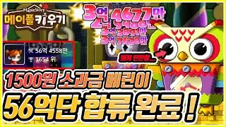 [메이플 키우기] 🍄 52일차 메린이 전투력 56억! 나도 썬콜법 3차 달라고...