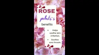 Want to add a touch of luxury to your skin care routine?