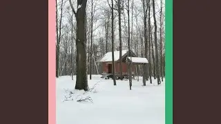 Insects Swarming