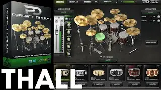 Naughty Seal Audio Perfect Drums Demo | Thall / Djent