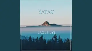 Eagle Eye