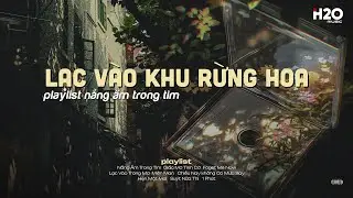 𝐏𝐥𝐚𝐲𝐥𝐢𝐬𝐭 Nắng Ấm Trong Tim ~ Lạc Vào Khu Rừng Hoa ✨ Lofi Chill Nhẹ Nhàng Ngày Gió Lạnh
