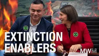 Barilaro&rsquo;s plan for new coal labelled as 
