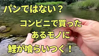のべ竿を使った鯉のサイトフィッシング【提灯釣りスタイル】