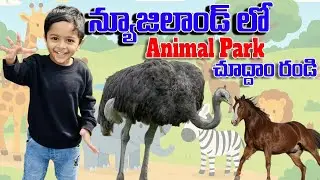 New Zealand Animal Park: Family Fun and Amazing Creatures, baap re baap! న్యూజిలాండ్ లో Animals