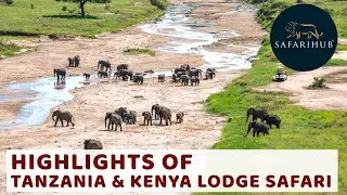 Highlights of Tanzania and Kenya Lodge Safari | Group Safari Packages | Covid Safe | Safarihub