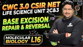 𝐁𝐚𝐬𝐞 𝐄𝐱𝐜𝐢𝐬𝐢𝐨𝐧 𝐑𝐞𝐩𝐚𝐢𝐫 & 𝐑𝐞𝐯𝐞𝐫𝐬𝐚𝐥 | 𝐂𝐒𝐈𝐑 𝐍𝐄𝐓 𝐋𝐢𝐟𝐞 𝐒𝐜𝐢𝐞𝐧𝐜𝐞 𝐔𝐧𝐢𝐭 𝟐𝐂 & 𝟑 | 𝐌𝐨𝐥𝐞𝐜𝐮𝐥𝐚𝐫 𝐁𝐢𝐨𝐥𝐨𝐠𝐲 𝐋𝟏𝟔