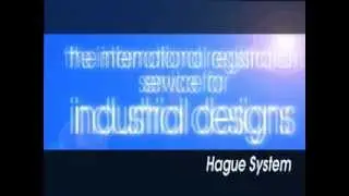 The Hague System