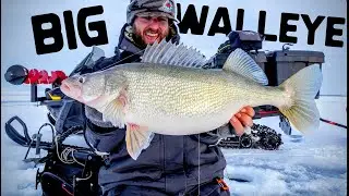 Ice Fishing GIANT Walleyes! UNREAL BITE!