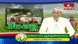 Banana and Papaya Farming Tips | Farmer Manoharachary | Nelathalli | hmtv