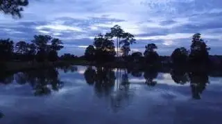 DJI Phantom 3 Standard Footage!!!