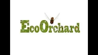 How to assess biodiversity in an apple orchard