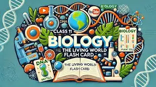 class 11 biology.chapter 1-The living world,flash card.