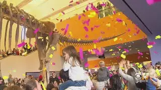 Kids Celebrate 'Happy Noon Year' At Fort Worth Museum Of Science And History