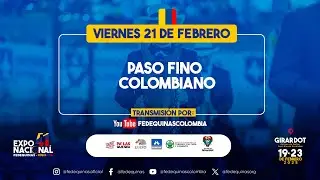 41° EXPOSICION NACIONAL EQUINA FEDEQUINAS - GIRARDOT 2025 - DIA 3 - PASO FINO COLOMBIANO
